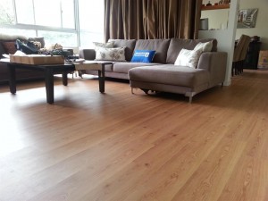Living Room with Laminate Floor